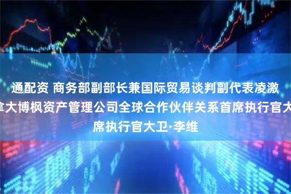 通配资 商务部副部长兼国际贸易谈判副代表凌激会见加拿大博枫资产管理公司全球合作伙伴关系首席执行官大卫·李维