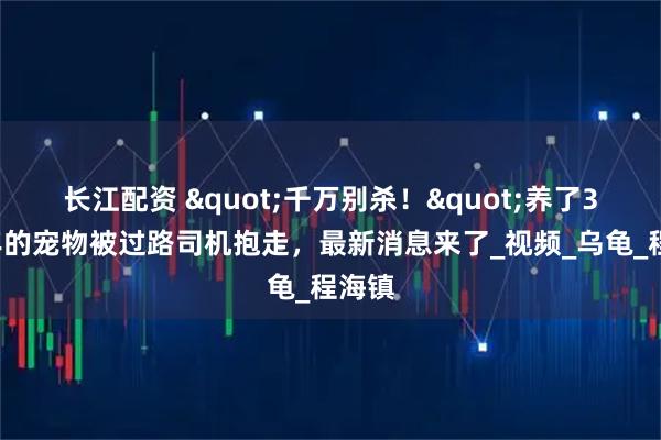 长江配资 "千万别杀！"养了30多年的宠物被过路司机抱走，最新消息来了_视频_乌龟_程海镇