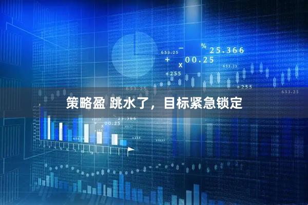 策略盈 跳水了，目标紧急锁定