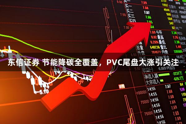 东信证券 节能降碳全覆盖，PVC尾盘大涨引关注