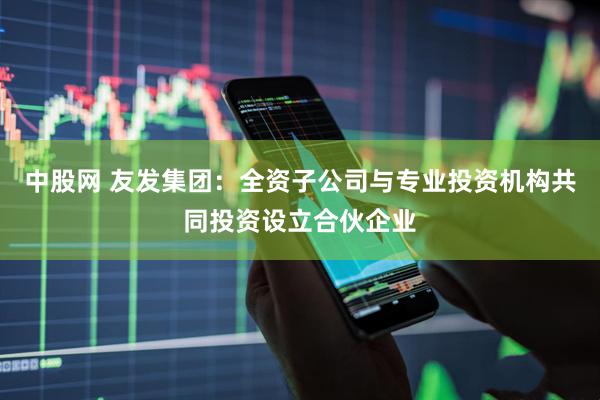 中股网 友发集团：全资子公司与专业投资机构共同投资设立合伙企业