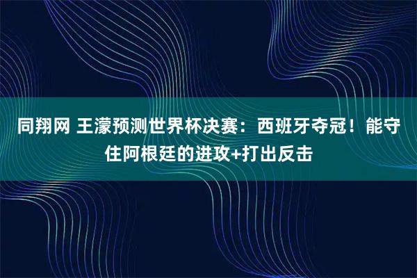 同翔网 王濛预测世界杯决赛：西班牙夺冠！能守住阿根廷的进攻+打出反击