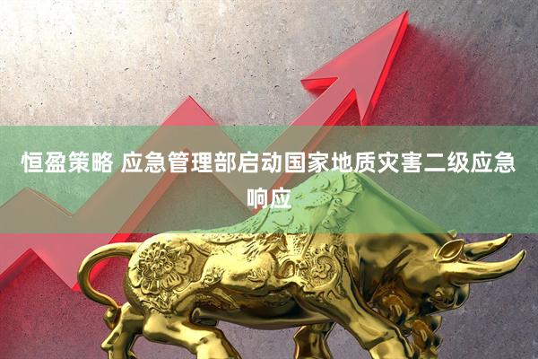 恒盈策略 应急管理部启动国家地质灾害二级应急响应
